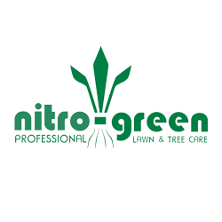 NitroGreen